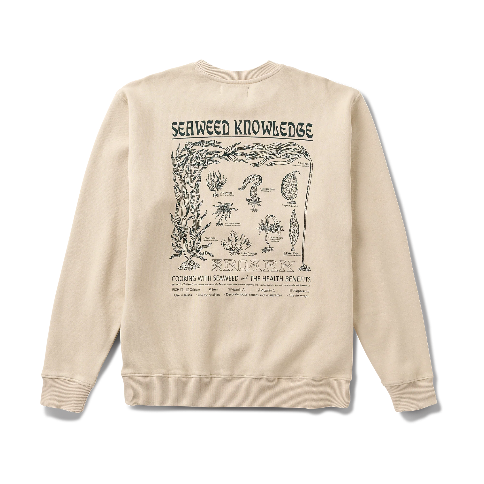 Seaweed Knowledge Fleece - Fossil